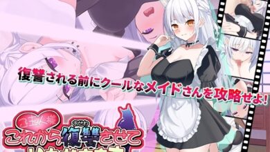 Master from now on I shall take my Revenge Direct Download